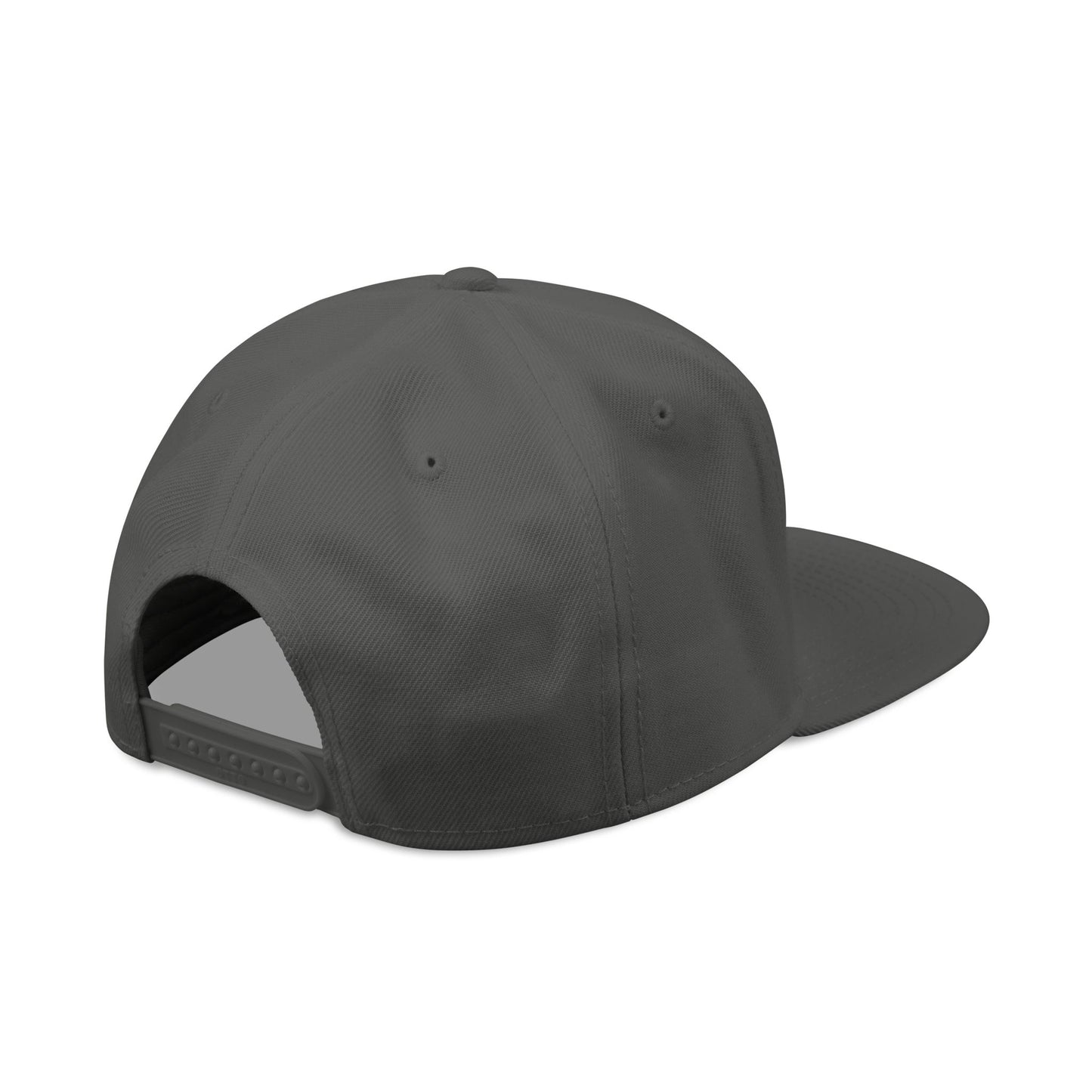 WER Snapback Hat — Embroidered
