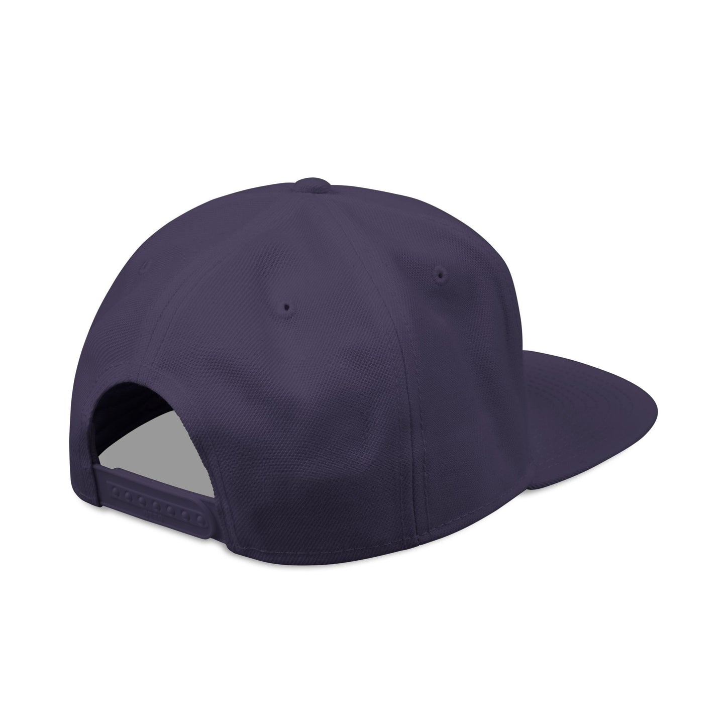 WER Snapback Hat — Embroidered