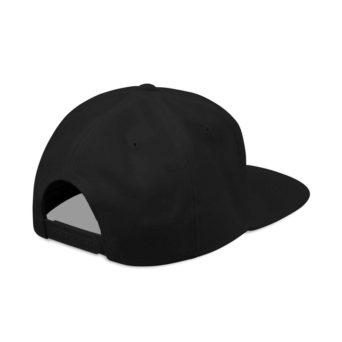 WER Snapback Hat — Embroidered
