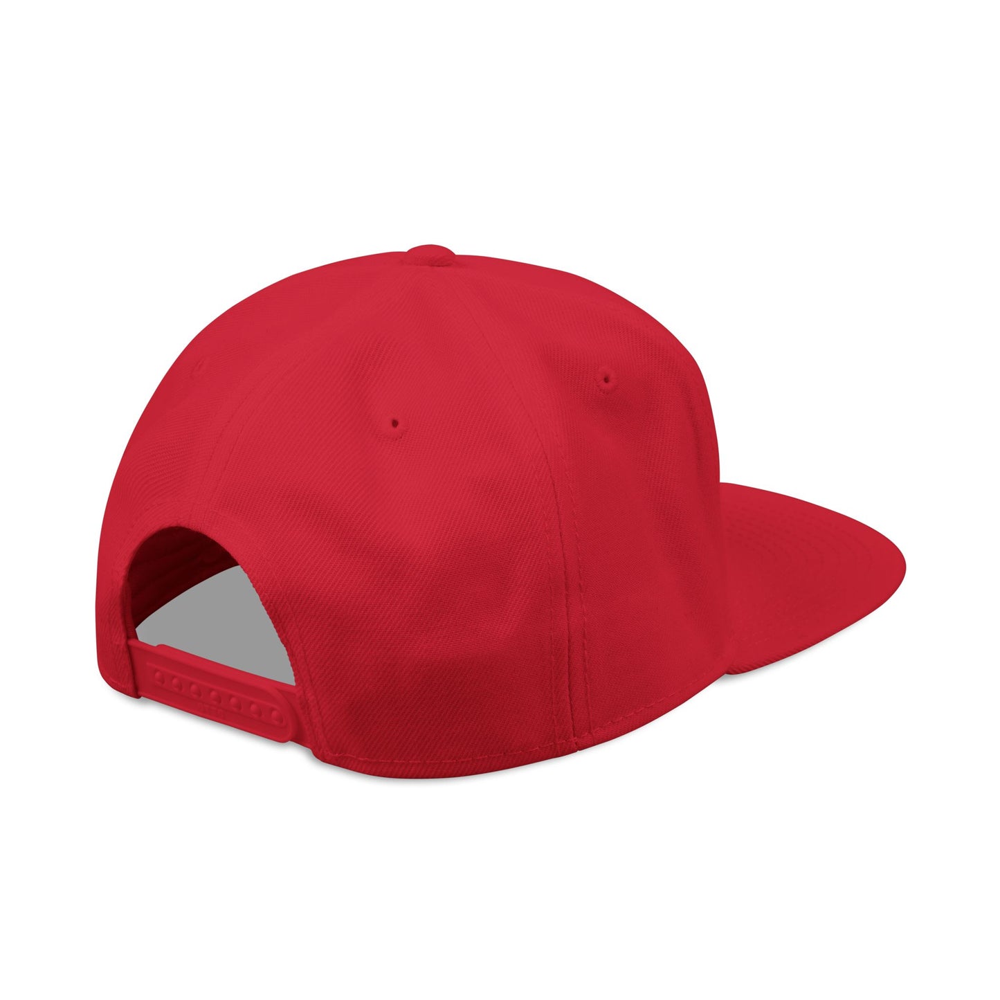 WER Snapback Hat — Embroidered