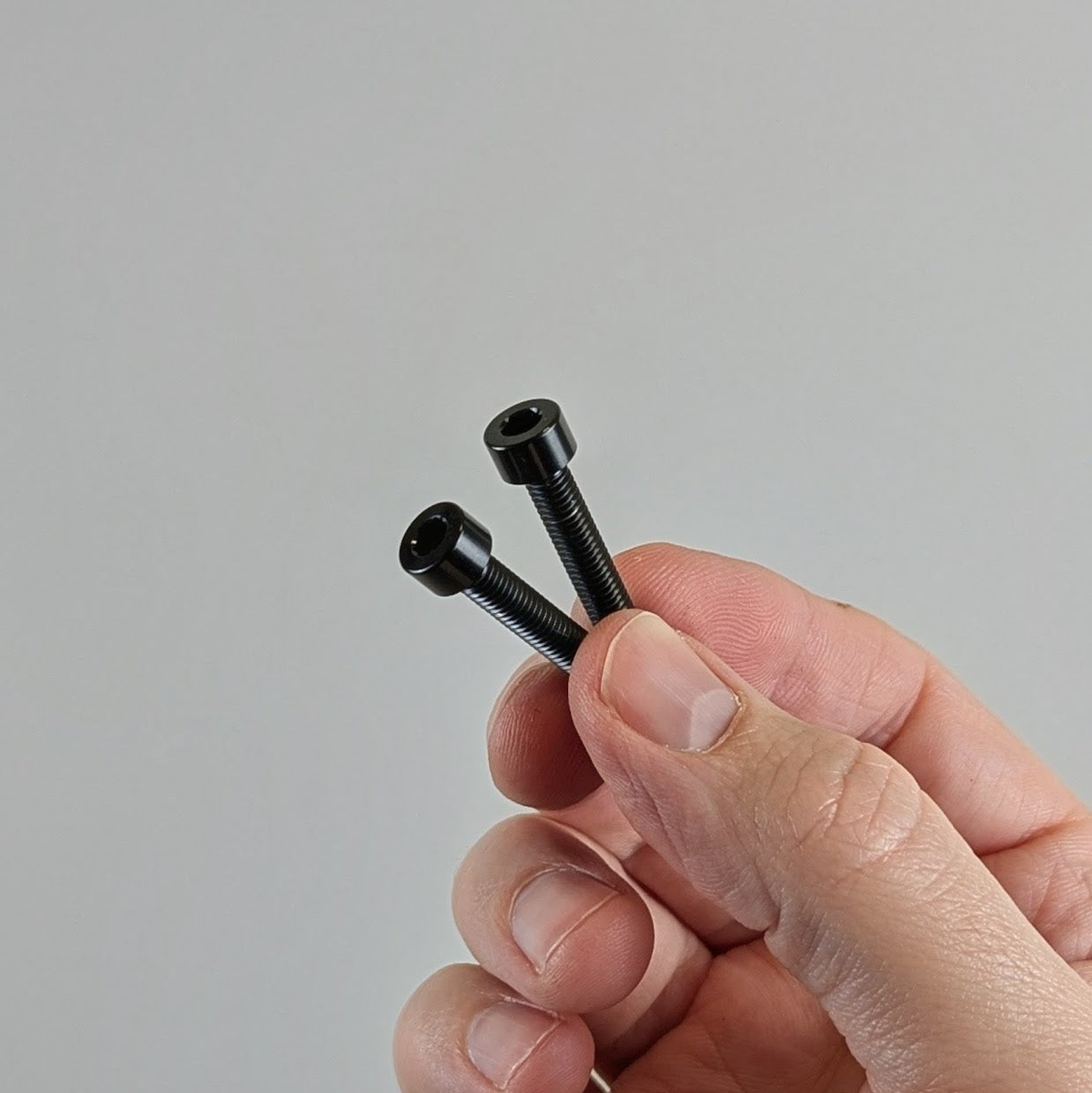 Titanium Bolts (set of 2)